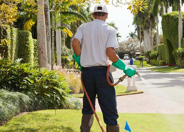 About Panama IL Pest Control
